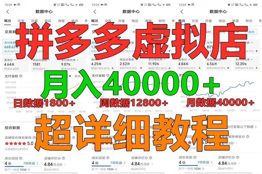 拼多多虚拟电商训练营：月入40000+，全网最详细教程，轻松上手，稳定盈利-网赚项目资源库