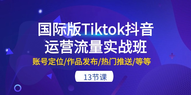 国际版Tiktok抖音运营流量实战班：账号定位、作品发布、热门推送等技巧（13节课程）-网赚项目资源库