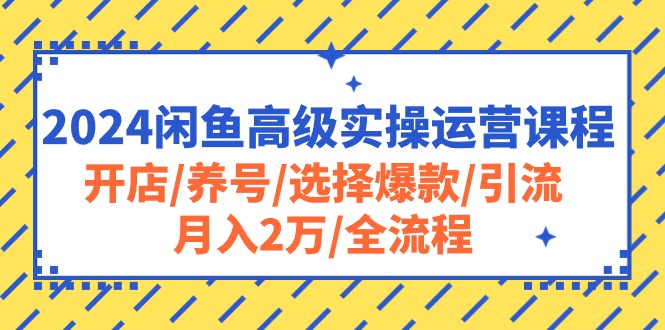 2024年闲鱼高级运营课程：开店、养号、爆款选择、引流技巧、月入2万全流程-网赚项目资源库