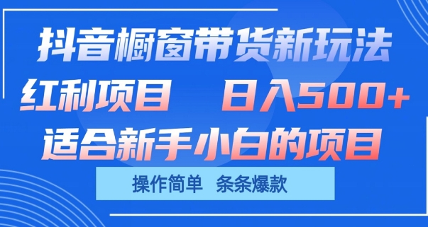 抖音橱窗带货新策略，单日收益惊人，操作简便，爆款商品轻松选-网赚项目资源库