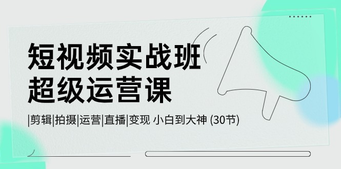 短视频运营实战班：从新手到大神的30节课程，涵盖剪辑、拍摄、直播与变现-网赚项目资源库