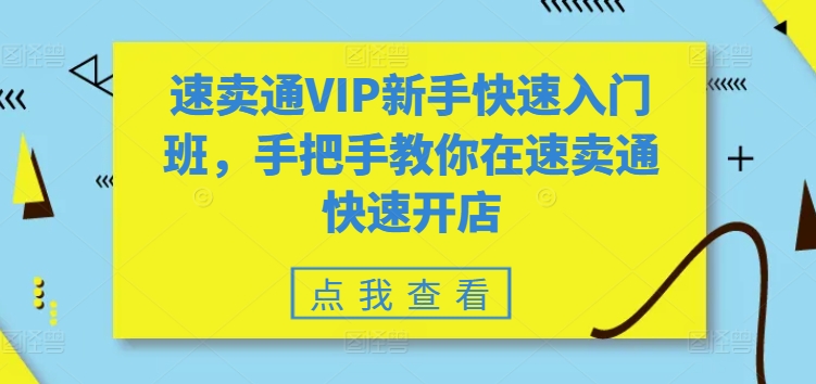 速卖通VIP新手入门班：手把手教你速卖通开店技巧-网赚项目资源库