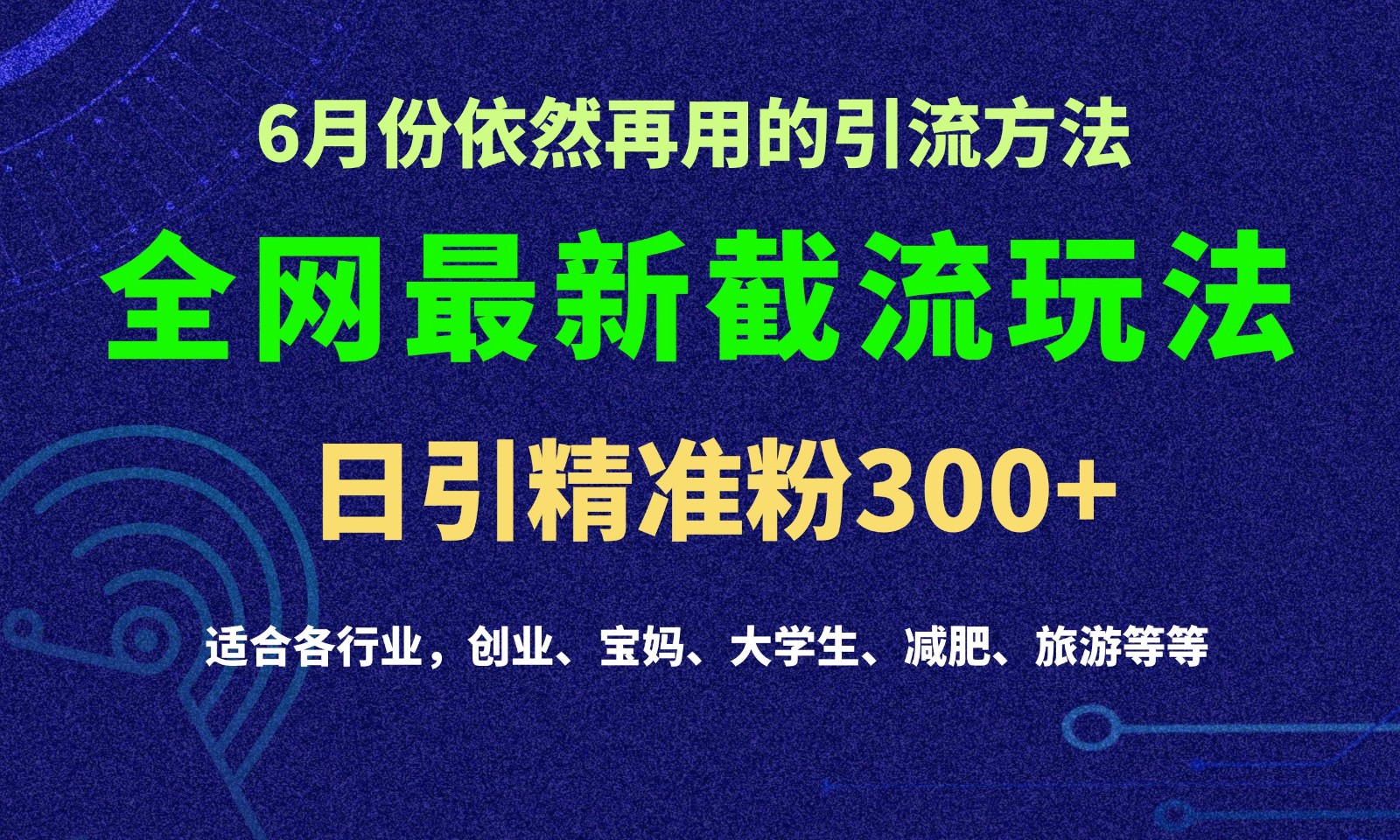 2024全网最新引流技巧，每日突破300+流量-网赚项目资源库