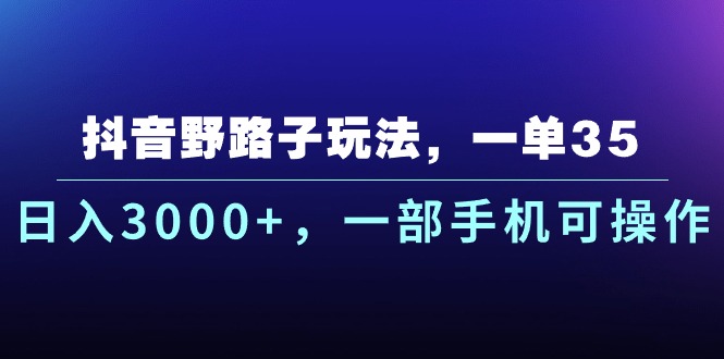 抖音野路子日入3000+，手机操作轻松赚钱-网赚项目资源库