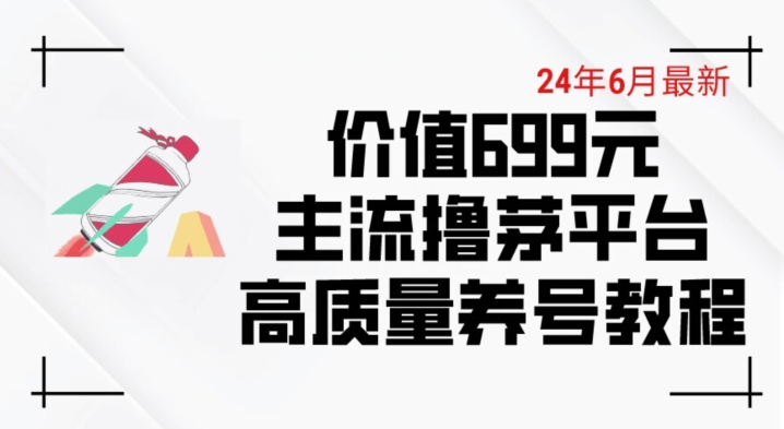 6月最新价值699元：主流平台精品养号下车攻略-网赚项目资源库