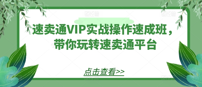 速卖通VIP实战操作速成班，掌握平台运营技巧-网赚项目资源库