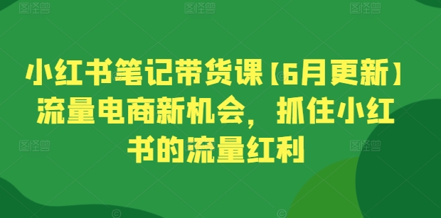 小红书笔记带货课【6月更新】抓住流量红利,电商新机遇-网赚项目资源库