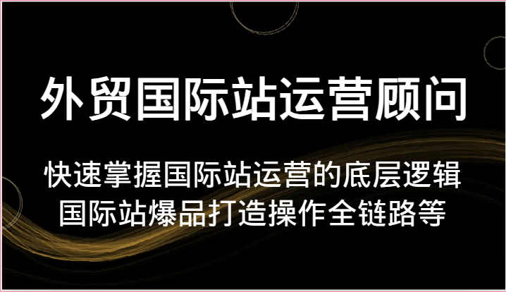 外贸国际站运营专家:掌握运营底层逻辑,打造爆品全链路操作指南-网赚项目资源库