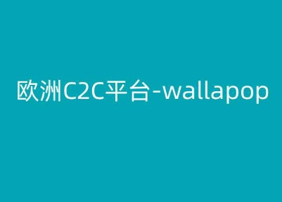 欧洲C2C平台wallapop-kim跨境电商教程-网赚项目资源库