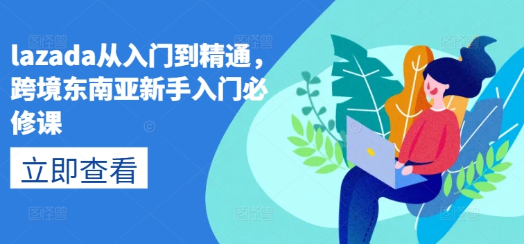 Lazada跨境运营：新手到精通的必修课程-网赚项目资源库