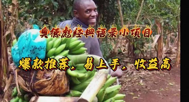 奥德彪经典语录小项目:易上手、高收益,爆款推荐-网赚项目资源库