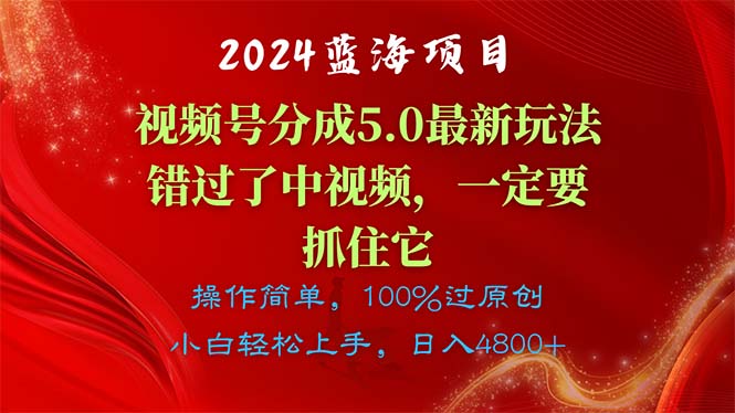 2024年蓝海项目：视频号分成计划5.0，错过中视频的必看攻略-网赚项目资源库