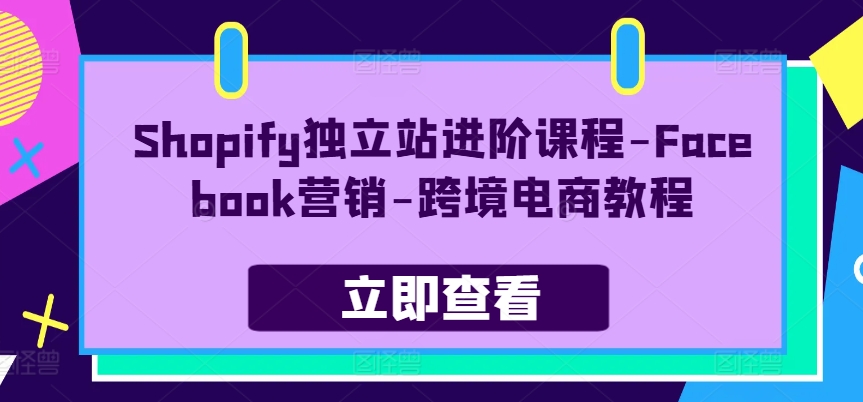 Shopify独立站进阶课程:掌握Facebook营销技巧,跨境电商成功指南-网赚项目资源库