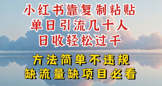 小红书单日引流数十人，轻松过千，方法简单不违规-网赚项目资源库