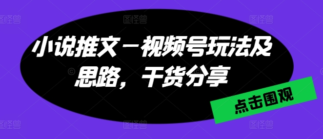 小说推文视频号运营技巧与策略分享-网赚项目资源库