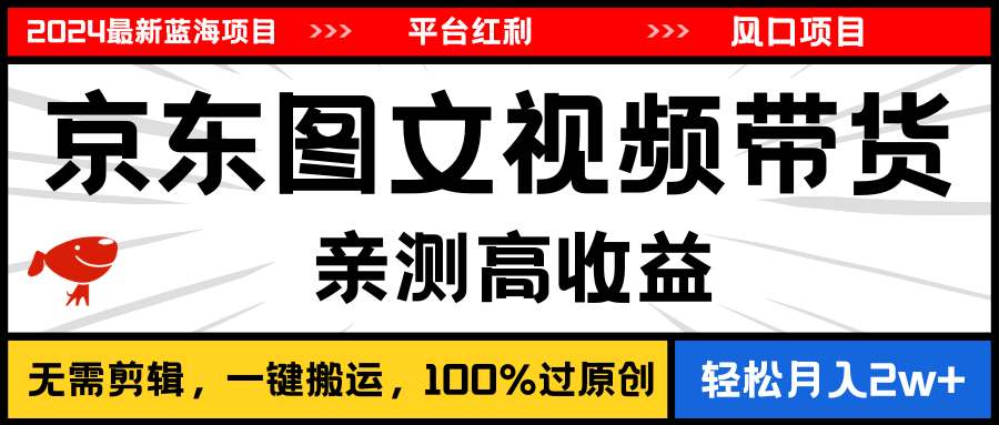 2024年热门蓝海项目：京东图文视频带货，月入20000+-网赚项目资源库