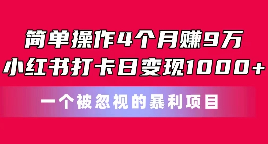 4个月赚9万，小红书日赚1千的暴利项目揭秘-网赚项目资源库