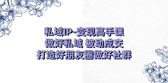 私域IP变现实战课：掌握私域运营，打造朋友圈与社群，18节课程助力被动成交-网赚项目资源库