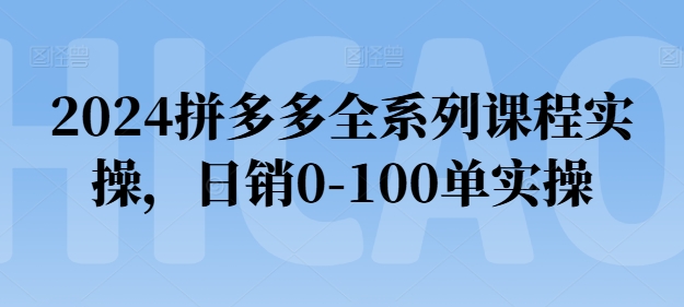 2024拼多多全系列课程实操，日销100单必看教程-网赚项目资源库