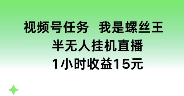 视频号任务：我是螺丝王，半无人挂机1小时收益15元-网赚项目资源库