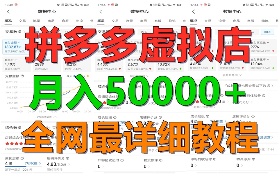 拼多多虚拟电商训练营：月入50000+，副业首选，稳定长久-网赚项目资源库