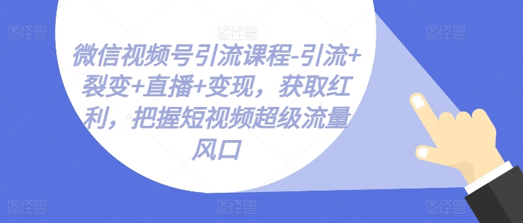 微信视频号引流与变现课程：掌握短视频流量，实现快速盈利-网赚项目资源库