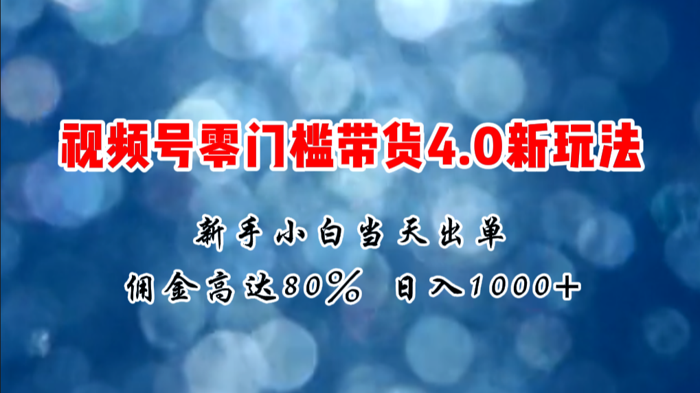 微信视频号零门槛带货4.0新策略，新手小白日入1000+-网赚项目资源库