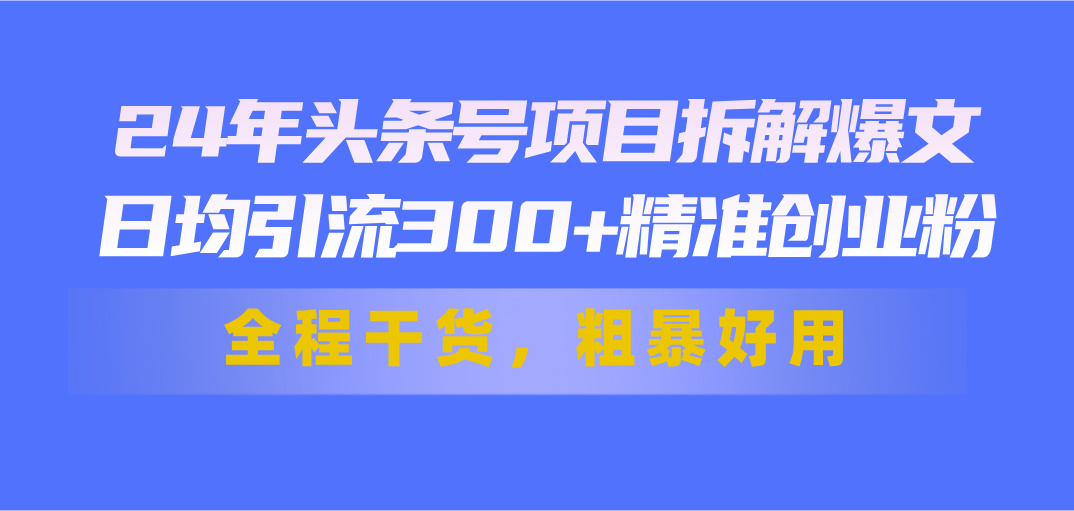 24年头条号项目拆解爆文，日均引流300+精准创业粉，全程干货，粗暴好用-网赚项目资源库