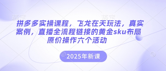 拼多多实操课程：飞龙在天玩法详解，直播全流程及黄金sku布局实战操作，六个活动策略-网赚项目资源库