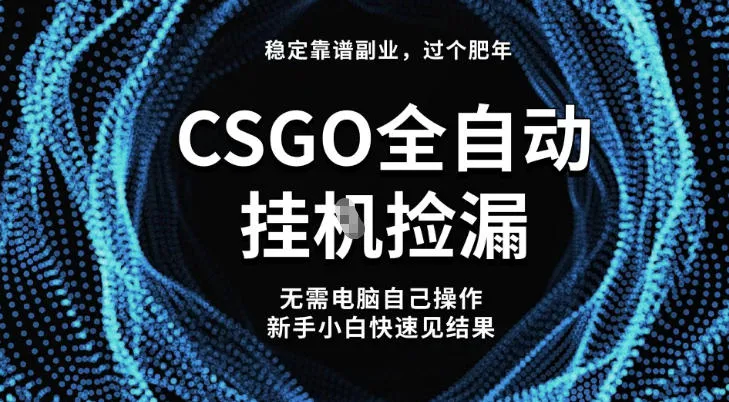 【稳定副业】CSGO全自动捡漏：最新玩法，新手小白日入5张+揭秘-网赚项目资源库