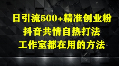 抖音日引流500+精准创业粉，共情自热打法工作室都在用-网赚项目资源库
