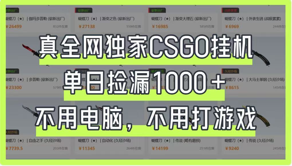 全网独家CSGO挂机，单日捡漏1000+，无需电脑和养号-网赚项目资源库