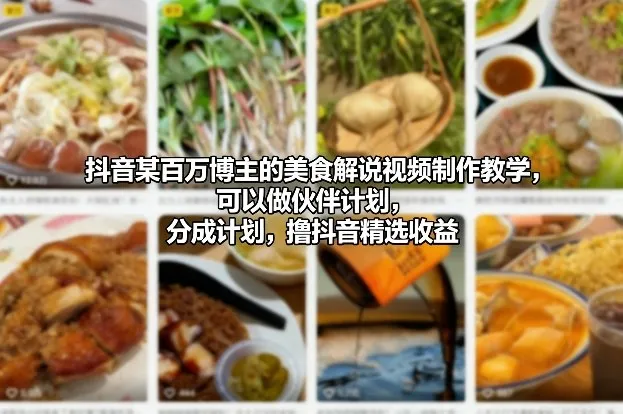 抖音百万博主美食解说视频制作教程:伙伴计划、分成计划,赚取精选收益更新-网赚项目资源库