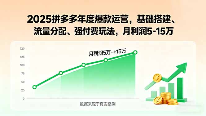 2025年拼多多爆款运营指南：基础搭建、流量分配及盈利策略，月利润5-15万-网赚项目资源库