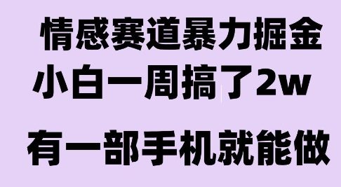 情感暴力掘金项目,新手一周赚2万,长期稳定小白可做【揭秘】-网赚项目资源库