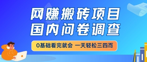 网创搬砖项目揭秘：国内问卷调查，小白轻松上手，一天三四张也不难-网赚项目资源库