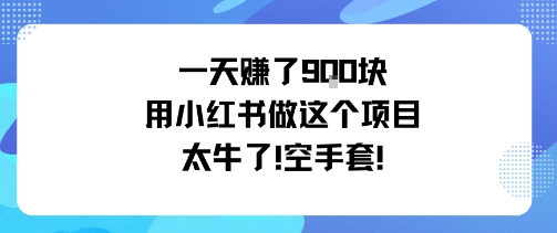 小红书项目日赚9张，空手套白狼-网赚项目资源库