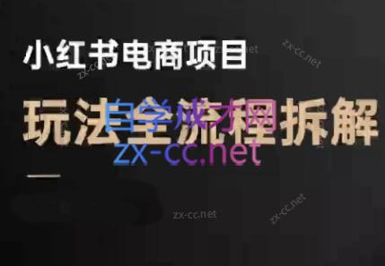 菲菲老师小红书电商新玩法(7月更新)-网赚项目资源库