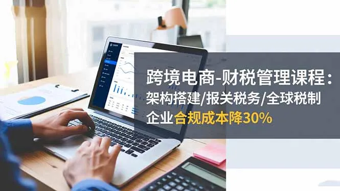 跨境电商财税管理课程：架构搭建、报关税务、全球税制，企业合规成本降30%-网赚项目资源库