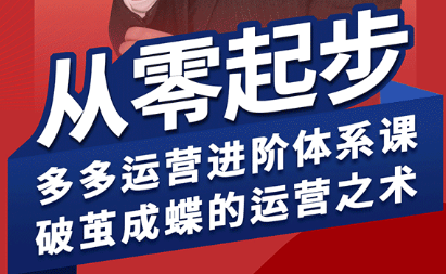 拼多多运营进阶系统课程（更新至8月）-网赚项目资源库