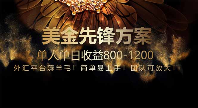 免费技术入门：小众领域一年见效，每日800+收益-网赚项目资源库