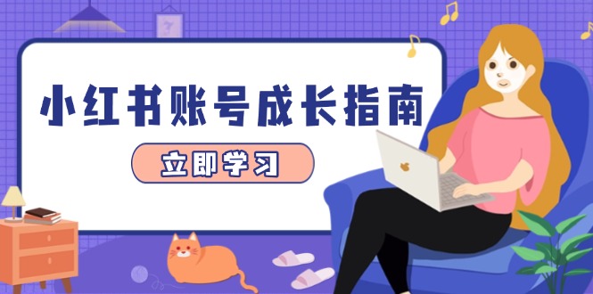 小红书账号成长攻略：爆款选题、精准定位与数据分析，系统提升变现能力-网赚项目资源库