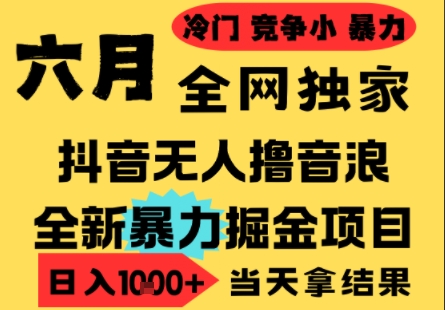 25年6月抖音无人直播项目：小白日入1k+，门槛低批量矩阵操作揭秘-网赚项目资源库