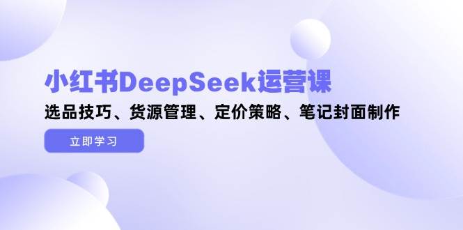 小红书DeepSeek运营课程：选品、货源管理、定价策略与笔记封面制作技巧-网赚项目资源库