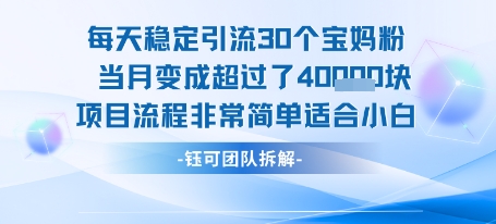 每天稳定引流30人,当月收入超4万,小白也能轻松上手的项目流程-网赚项目资源库