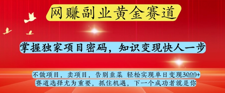 网创副业黄全赛道揭秘：掌握独家项目密码，知识变现快人一步，轻松实现单日变现1k+【揭秘】-网赚项目资源库