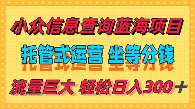 轻松实现日入300+，信息查询蓝海项目，全程托管，解放时间-网赚项目资源库