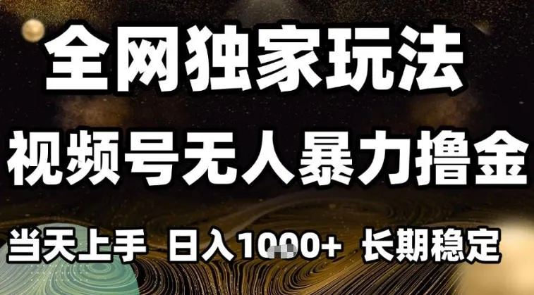 年底独家视频号无人直播收益攻略：小白日入1k+，长期稳定可复制-网赚项目资源库