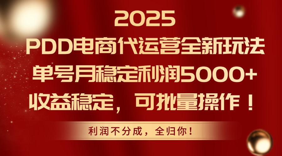 2025年PDD电商代运营新策略，单号月利润5000+，稳定收益，批量操作-网赚项目资源库