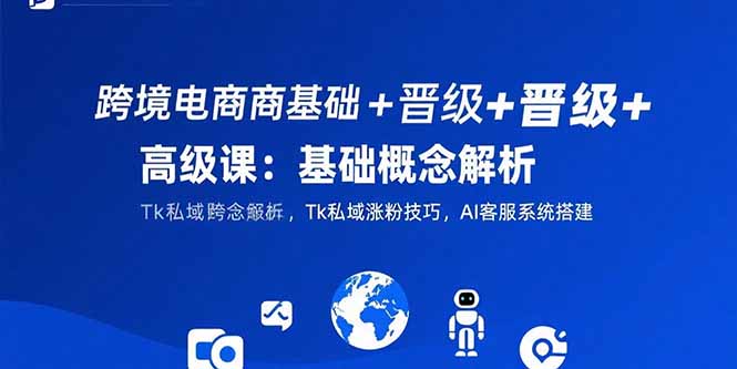 跨境电商进阶与高级课程：基础概念解析、Tk私域粉丝增长技巧、AI客服系统搭建-网赚项目资源库